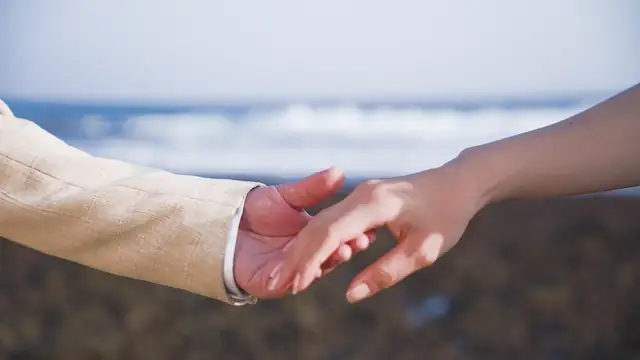执手动图